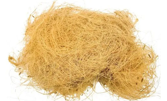 Coir Fibre